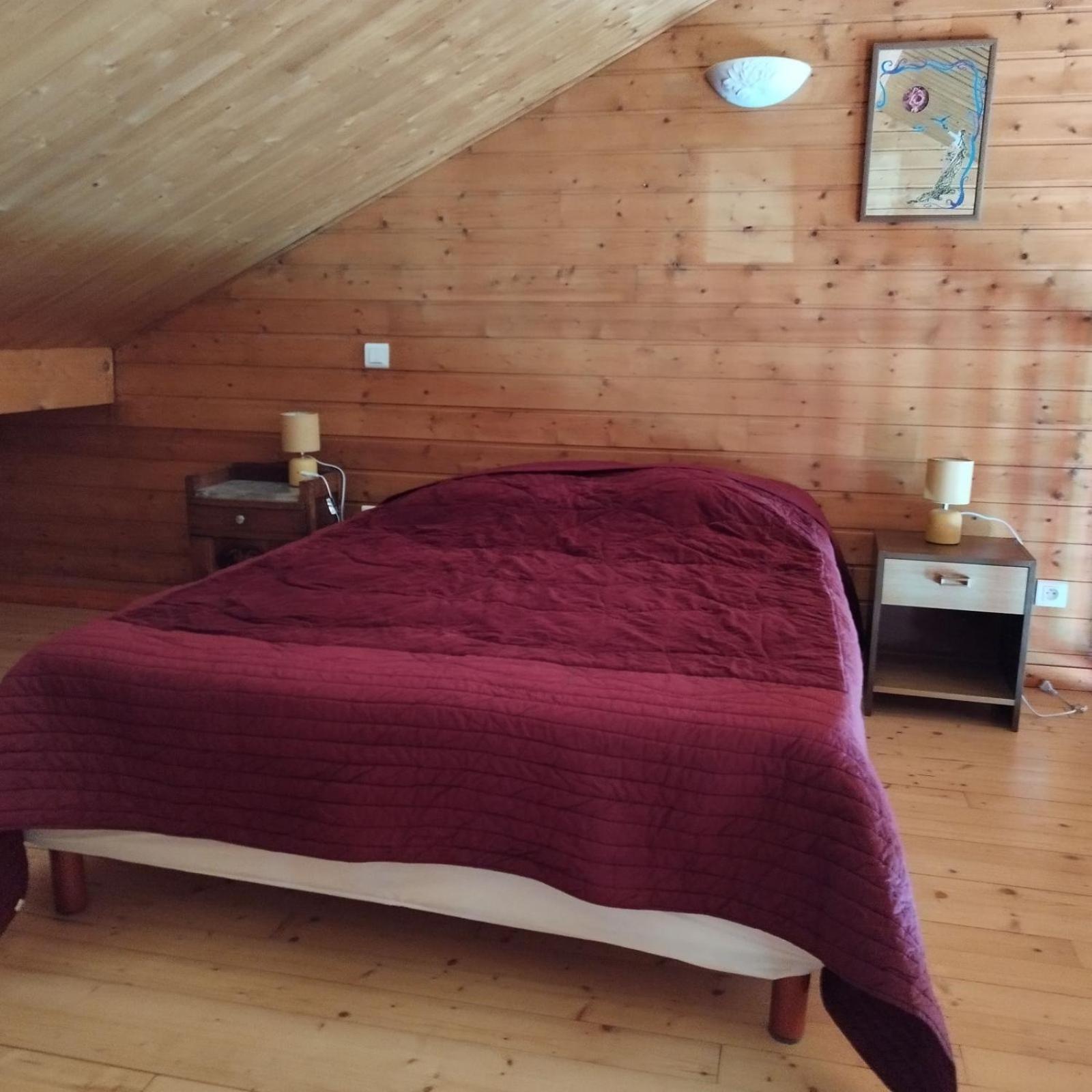Chalet Les Adrets Du Sancy Saint-Diery Екстериор снимка
